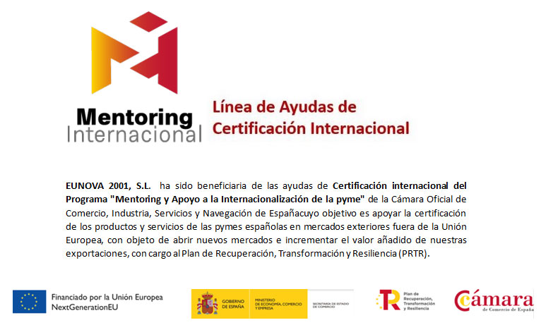 Mentoring y Apoyo a la Internacionalización de la pyme